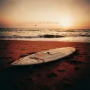 Red Tide Rider