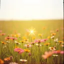 Shine Bright, My Little Star ( Hailey’s Song )