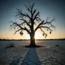 Resentment