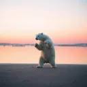 The Polar Bear Dance