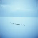 A Blade Named Goodbye