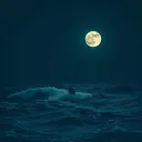 Ocean aint safe