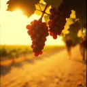 \\Water2Wine//