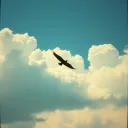 Wings of Rust