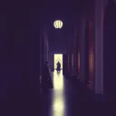 Sombras del Rey