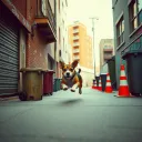 Clumsy Dog Run Remix