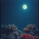 盐渍地带