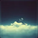 Calm in the Dark