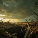 Bruised sky