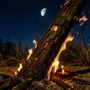 Ashes To Phoenix