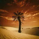MACHI SAHEL (It’s not easy)