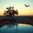 The Long Drive Home