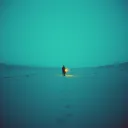 Viajei pelo mundo
