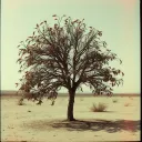 Fading Away