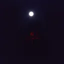 LOVING ALONE