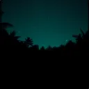 Weak link (Surviver)