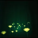 Tinkerbell