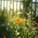 The Romance of God