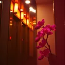 Candlelit Elevator