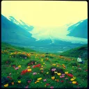La terre pleure