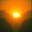 Sunshine