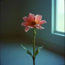 Fading Out