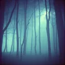 In search of peace 2