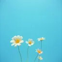 BREATH