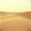 The line in the sand.