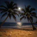 Bajo la Misma Luna (Under the Same Moon)