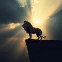 Rise of the Warrior