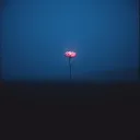No One There