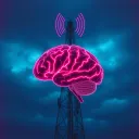 Fighting for insight