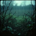 Rooted Deep
