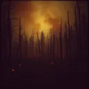 Ashes in the wind