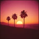 L.A SUNSETS
