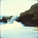 Salt Life