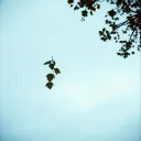พูดไม่ออก(Silent goodbye)