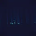 Chasing Shadows