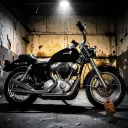 Steel Hearted Lover
