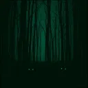 Night vision