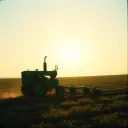 Plow boy
