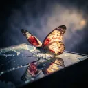 Butterflies in My Head