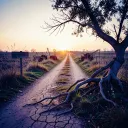 Dirt Roads & Dead Ends