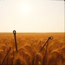 They Built This Land
