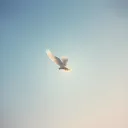 Worship music, female voice, spiritual