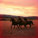 Galloping Through the Fields