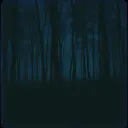 Drifting Shadows