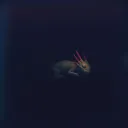 The Sacred Beast Beneath