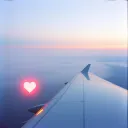To my love Marc
